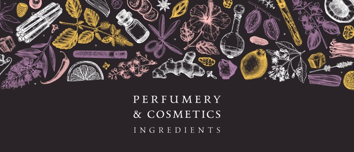 Perfumery and cosmetics ingredients banner. Flower, fruit, spice, herb sketches. Hand drawn vector illustration. Cosmetics design template. Aromatic plants background